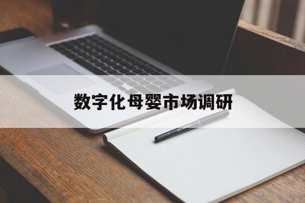 珠海市数字化母婴市场调研(数字化母婴市场调研报告)